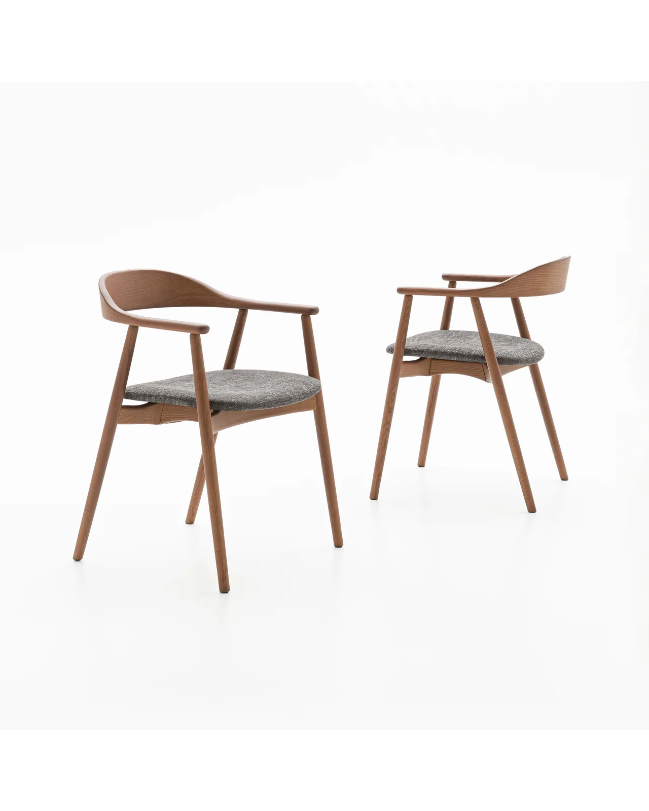 Wolly dining chair by Dall'Agnese, studio view, photo 1 of 4, Nobili Design catalog
