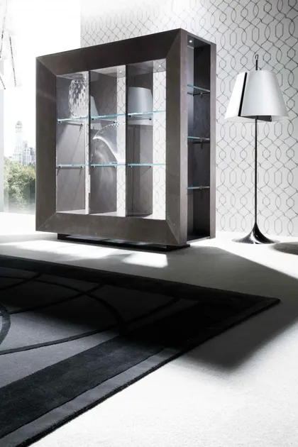 Vision Bifacial Display Cabinet, luxury interior furniture