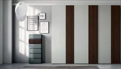 VERTICAL WARDROBE 2925 2580